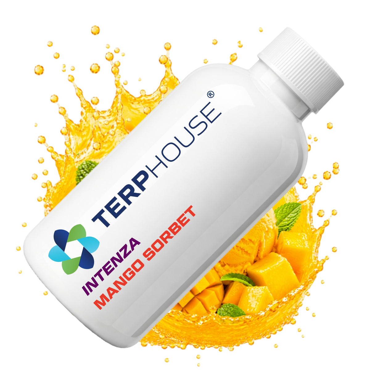 Mango Sorbet INTENZA