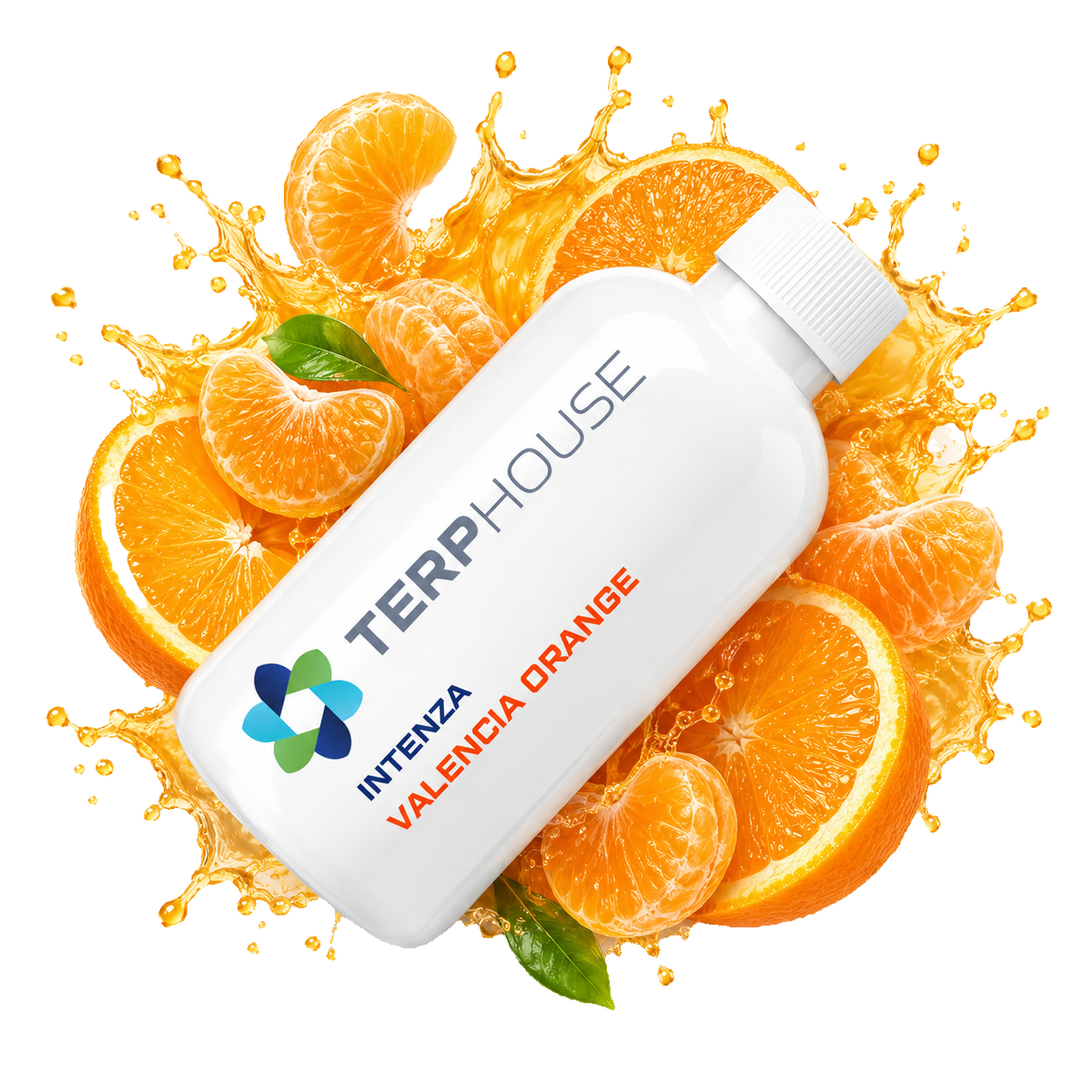 Terpene Warehouse 