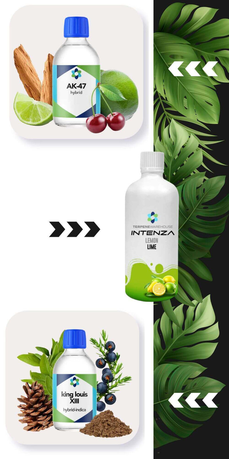 Botanical Terpenes