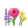 Floral Flavors