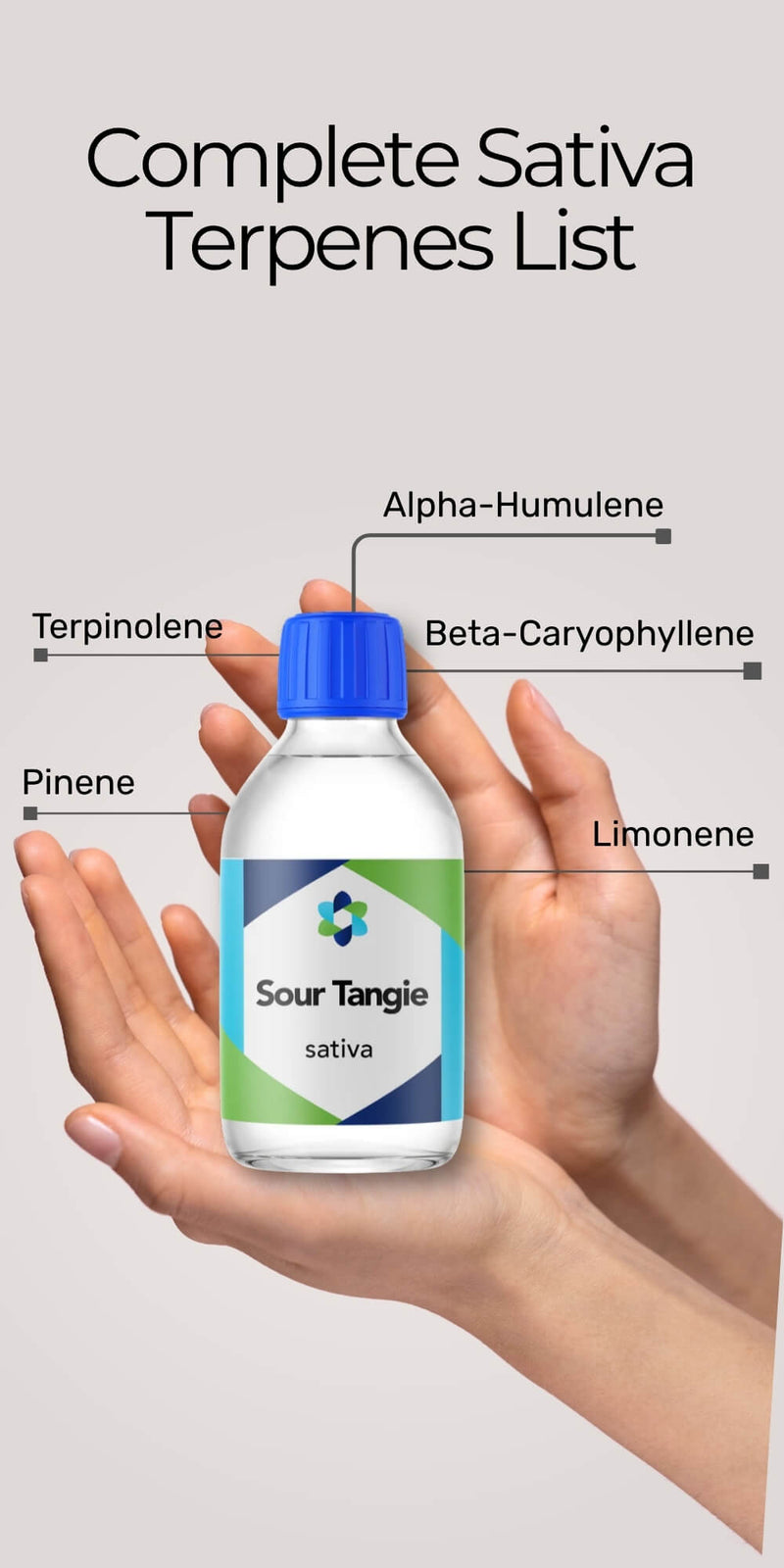Sativa Terpenes