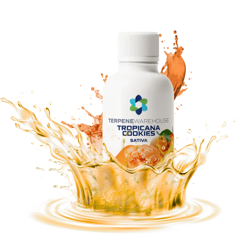 Terpenes For Anxiety