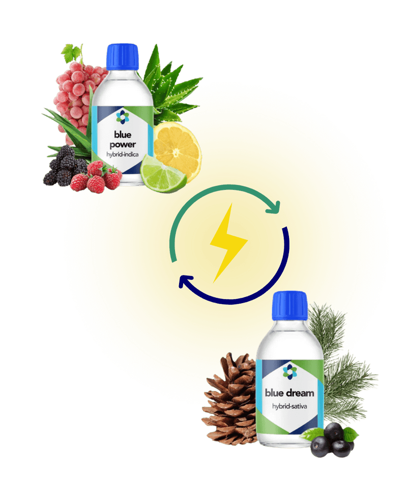 Terpenes For Energy
